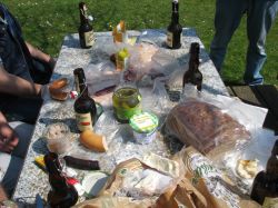 Baumpflegeaktion  2010 08